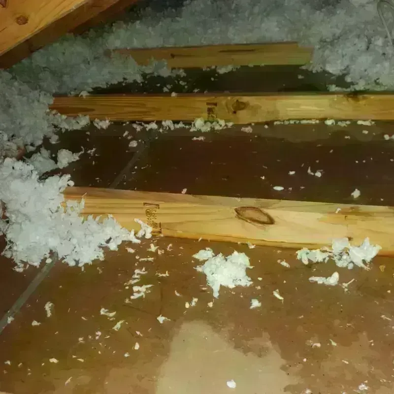 Attic Water Damage in Natalia, TX