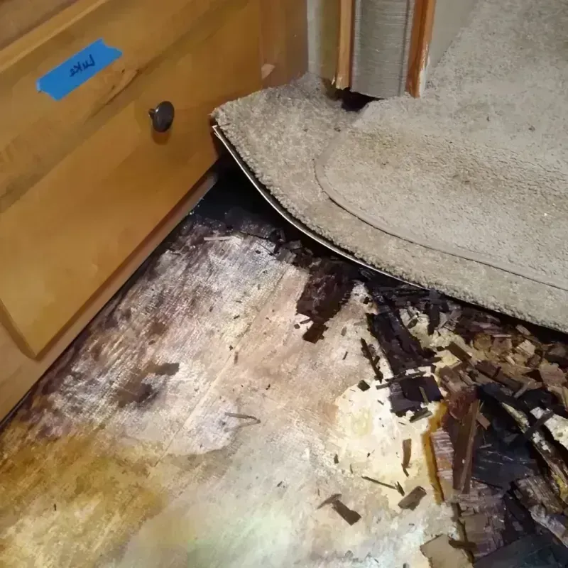 Best Wood Floor Water Damage Service in Natalia, TX